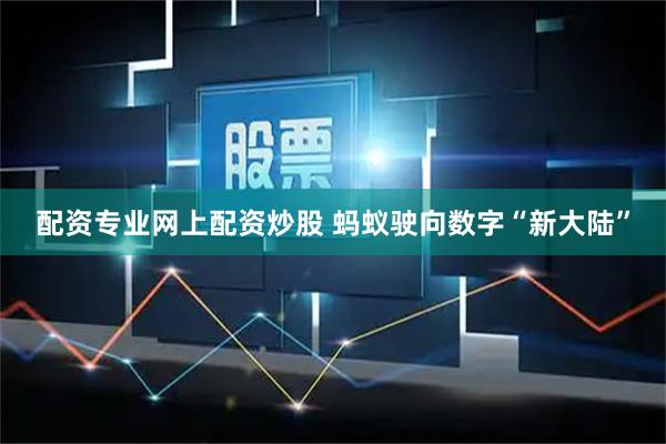 配资专业网上配资炒股 蚂蚁驶向数字“新大陆”