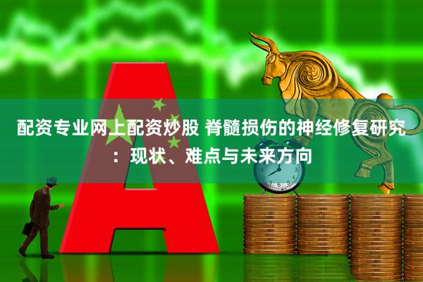 配资专业网上配资炒股 脊髓损伤的神经修复研究：现状、难点与未来方向