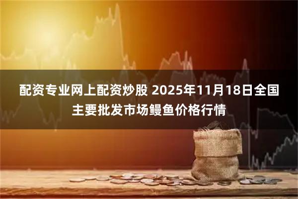 配资专业网上配资炒股 2025年11月18日全国主要批发市场鳗鱼价格行情